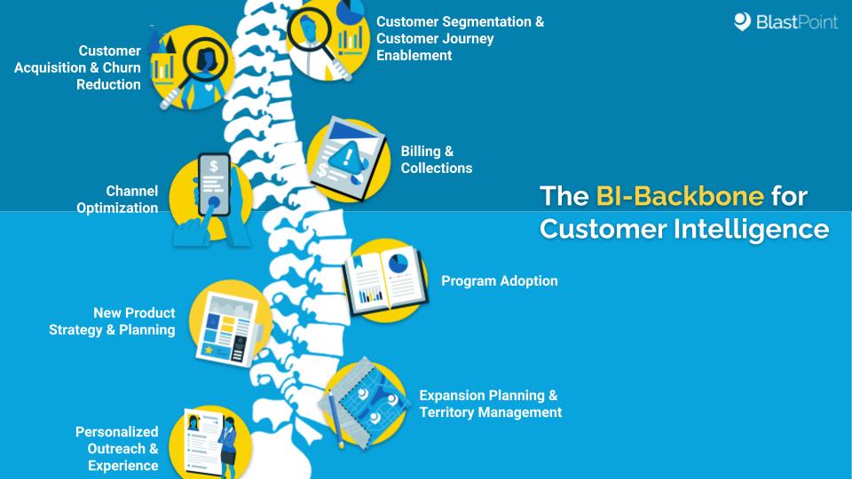 Backbone image representing the solid data infrastructure through which customer intelligence functions