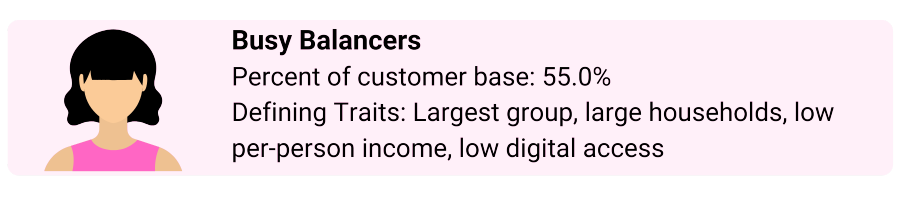 Persona: Busy Balancers